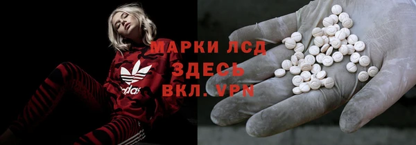гашик Алексин