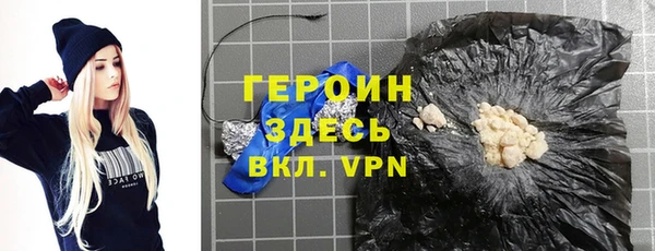 гашик Алексин