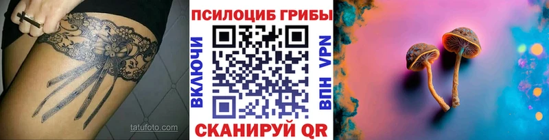закладки  Руза  Псилоцибиновые грибы GOLDEN TEACHER 
